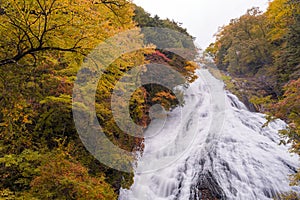 Yudaki Waterfall Autumn forest Nikko Japan