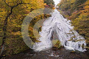 Yudaki Waterfall Autumn forest Nikko Japan