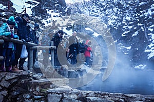 Tourists looking to the Snow Monkey Baby in Jigokudani Park