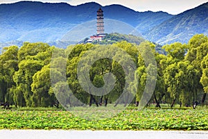 Yue Feng Pagoda Lotus Garden Summer Palace Beijing China