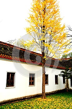 The Yuelu Academy in Yuelu mountain in Changsha city