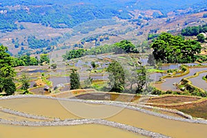 Yuenyang Hani Terrace in Yunnan , China