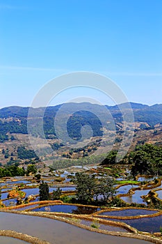 Yuenyang Hani Terrace in Yunnan , China