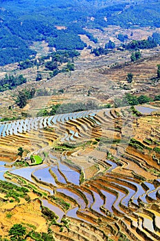 Yuenyang Hani Terrace in Yunnan , China