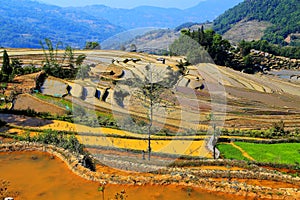 Yuenyang Hani Terrace in Yunnan , China