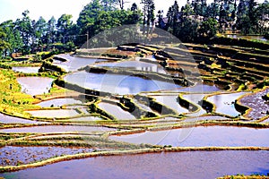 Yuenyang Hani Terrace in Yunnan , China