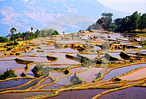 Yuenyang Hani Terrace in Yunnan , China