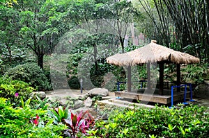 Yuexiu park scenery