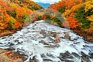 Yukawa River flow rapidly over rocks