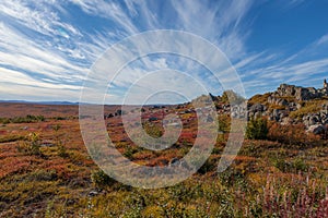 Yukon arctic tundra in fall colors photo