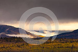 Yukon Gold - Fall in Yukon Territory, Canada