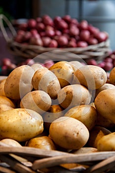 Yukon gold potatoes at market