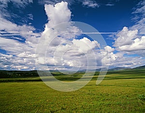 Yukon nature scenery with grass