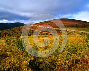 Yukon - Ogilvie Mountains in the fall
