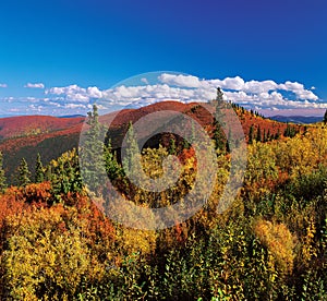 Yukon - Ogilvie Mountains in the fall