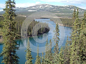 Yukon river photo