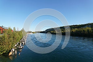 Yukon River flowing in Whitehorse, Canada in September