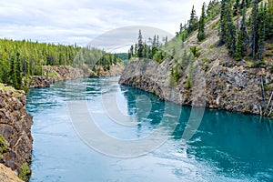 Yukon river near Whitehorse, Canada