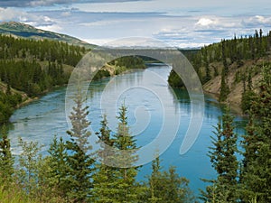 Yukon River north of Whitehorse Yukon T Canada