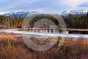 Yukon taiga wetland marsh spring thaw Canada