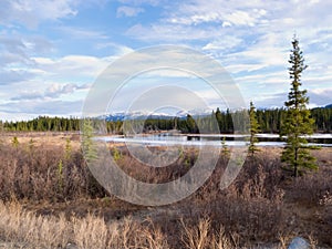 Yukon taiga wetland marsh spring thaw Canada