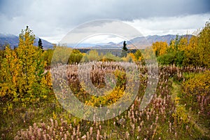 Yukon Territories, Canada, Autumn Landscape