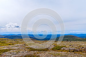 Yukon wilderness by the Top of the World Highway