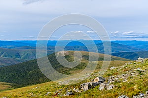 Yukon wilderness by the Top of the World Highway