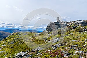 Yukon wilderness by the Top of the World Highway