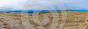 Yukon wilderness by the Top of the World Highway