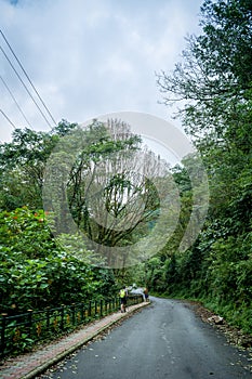 Yuksom, West Sikkim, India