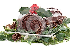 Yule Log photo