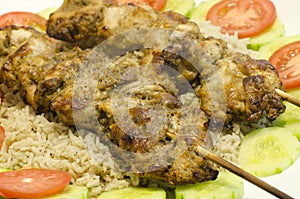 Yummy murg malai Chicken Kabob with rice photo