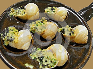 Yummy escargot cu photo