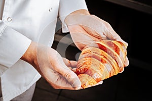 Yummy French croissant in hands of professional baker