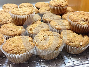 Yummy Fresh Baked Healthy Apple Muffins