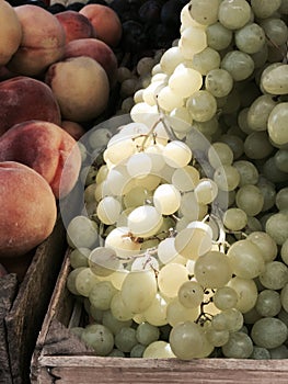 Yummy Grapes bask in the sun next to a box of juicy peaches