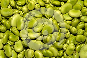 Yummy lima beans photo