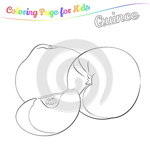 Yummy quince for coloring in imple cartoon style. Page for art coloring book for kids. Vector illustration