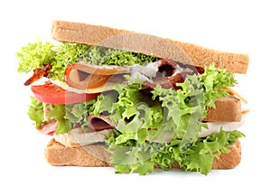 Yummy sandwich with bacon, ham and chicken isolated