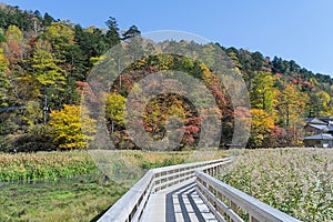 Yumoto Onsen in autumn, Nikko, Japan