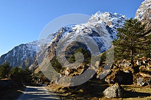 Yumthang valley of sikkim ,India