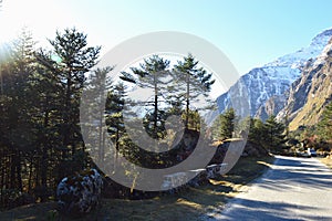 Yumthang valley of sikkim ,India