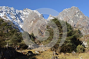 Yumthang valley of sikkim ,India