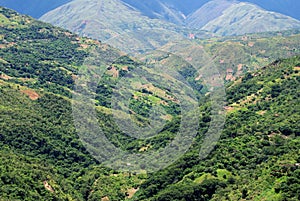 The Yungas, Bolivia