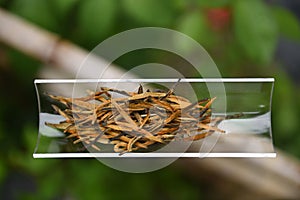 Yunnan Black Tea Dianhong Big Golden Bud