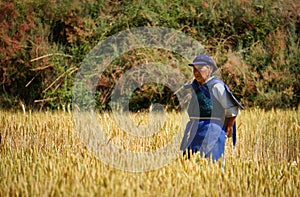 Chinese farmer works in a rice field