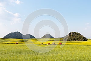 Yunnan luoping spring landscape