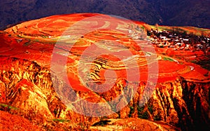 Yunnan Province red plateau photo