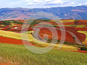 Yunnan red soil dry